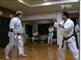 meibukan goju ryu