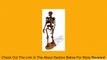 Geoworld Cave Girl Australopithecus Afarensis Skeleton Excavation Kit