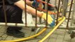 Officials begin removing barricades in Hong Kong