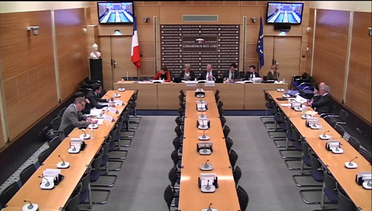 Audition de représentants de l'Institut françai...