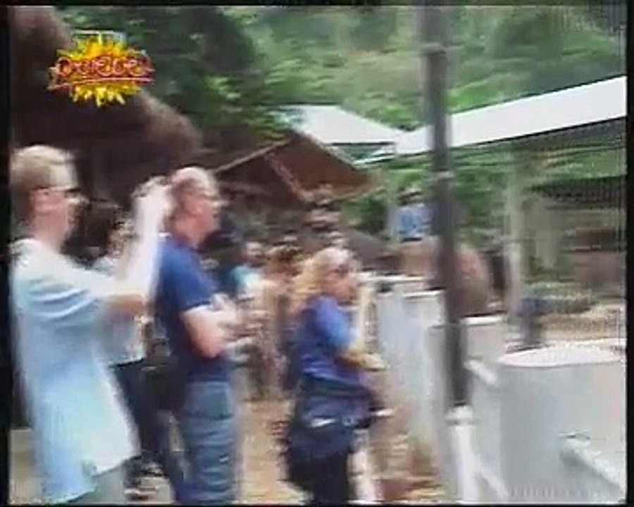 Elephant Acts