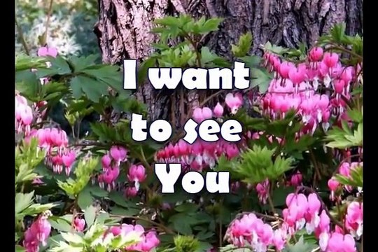 Open The Eyes Of My Heart - Paul Baloche - Worship Video w_lyrics