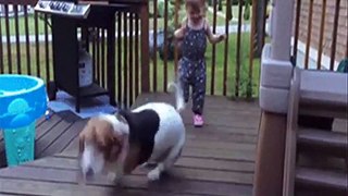 Funny Animal with children's video clip - Gif-King