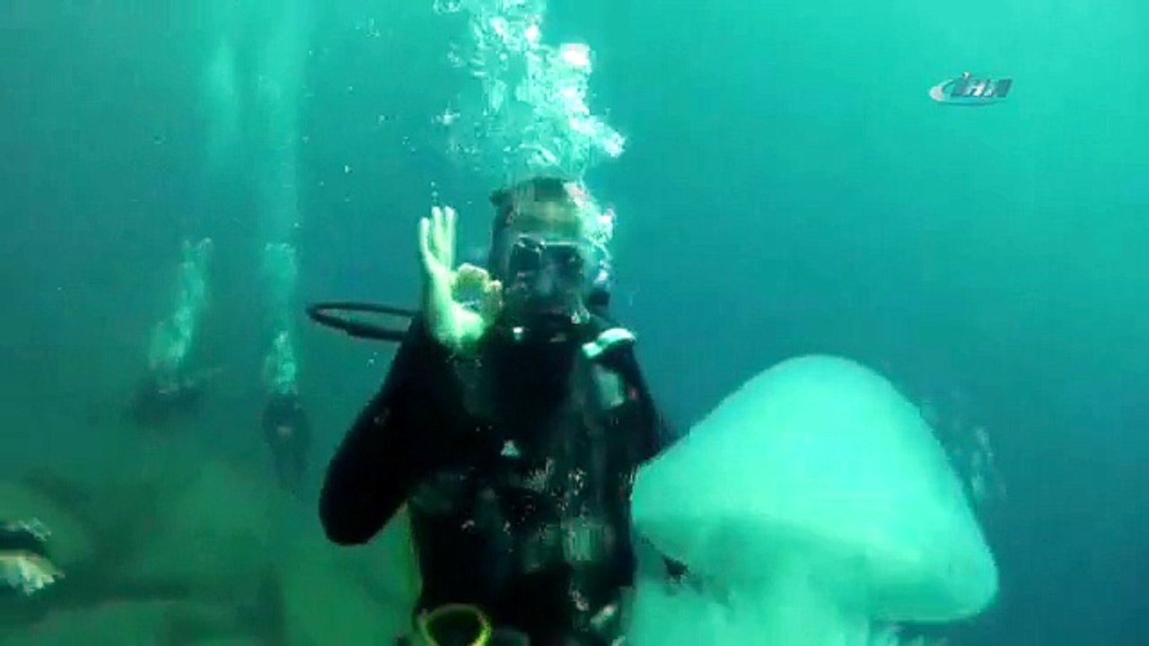 Tam 5 milyar iğnesi var