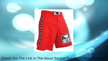 Bad Boy MMA World Class Pro 2 Shorts Review