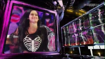 Brie Bella Vs Nikki Bella