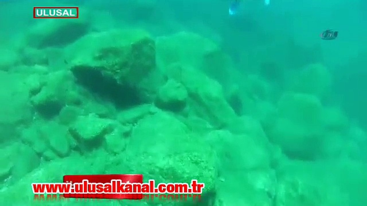 5 milyar iğnesi var