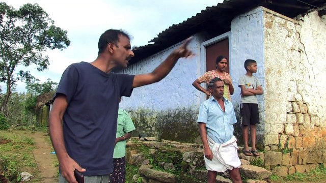 SMS alerts cut deaths from elephants in rural India