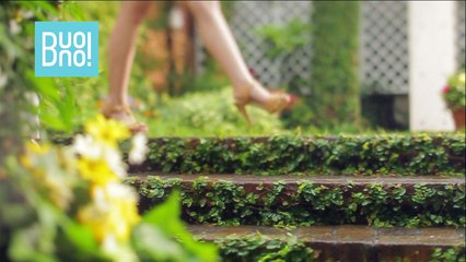 Buono! - 夏ダカラ! MV