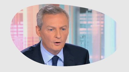 Bruno Le Maire & l'immigration clandestine - DESINTOX - 17/11/14
