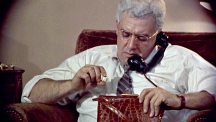 HOMENAJE A RAYMOND BURR