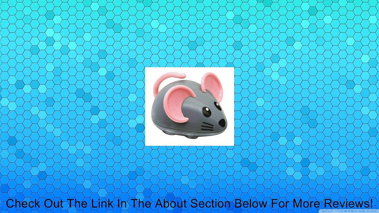Tolo First Friends Mouse Review