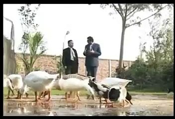 Watch Inside of Hassan Nisar's Home in Beli Pur, Really Heaven on Earth Full of Natural Beauty