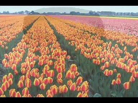 وينك حبيبي - محمد القطري‏‏ - مونتاج