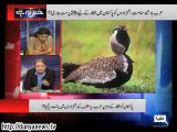 Rauf Klasra Exposed PM Nawaz Sharif for Giving Permit to 4 Arabs States for Bird Hunting in Pakistan