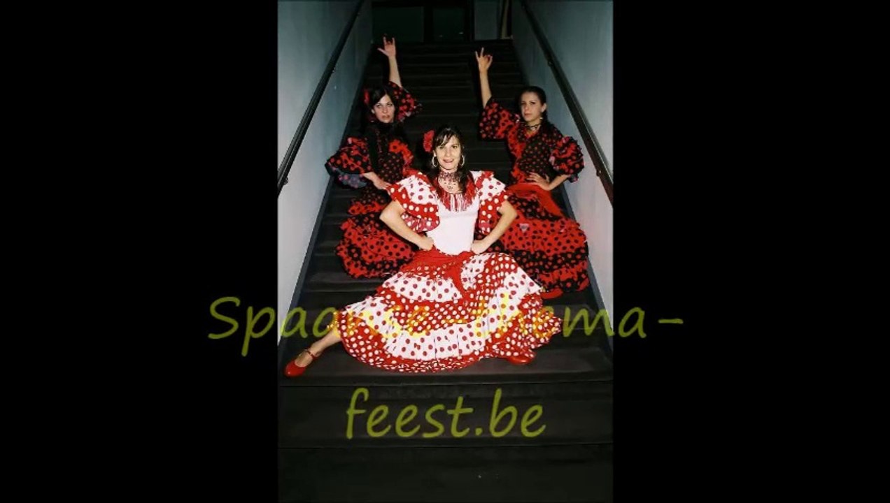 Spaanse-thema-feest.be