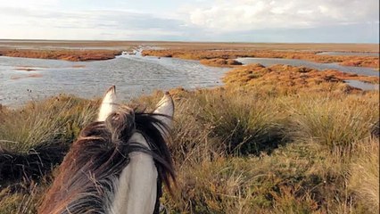 week end au mas cacharel organisé par equipassion .... du pur bonheur !!!!