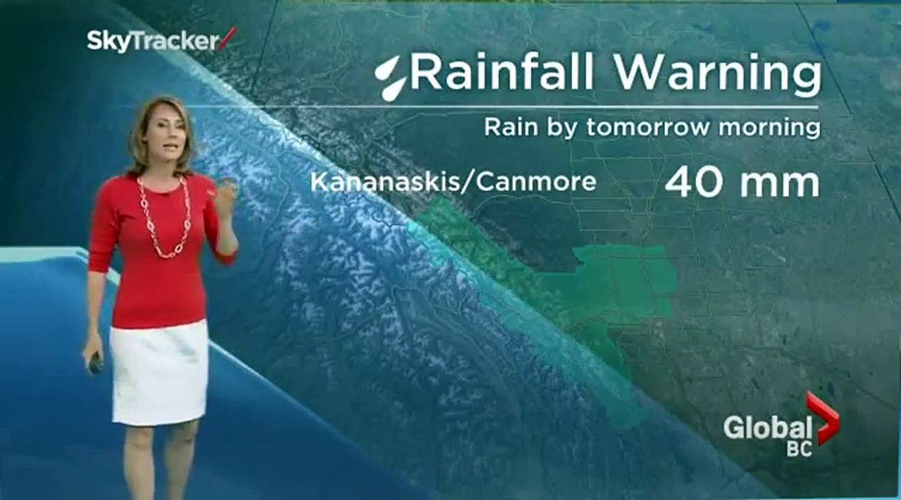 Weather Camera Spider Scares Weather Reporter
