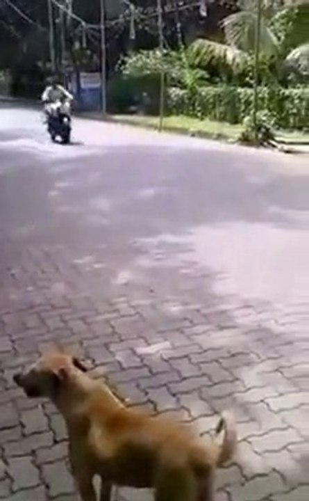 Roue arrière en moto Fail