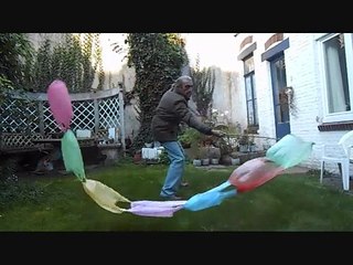 sachets plastique en farandole serpent
