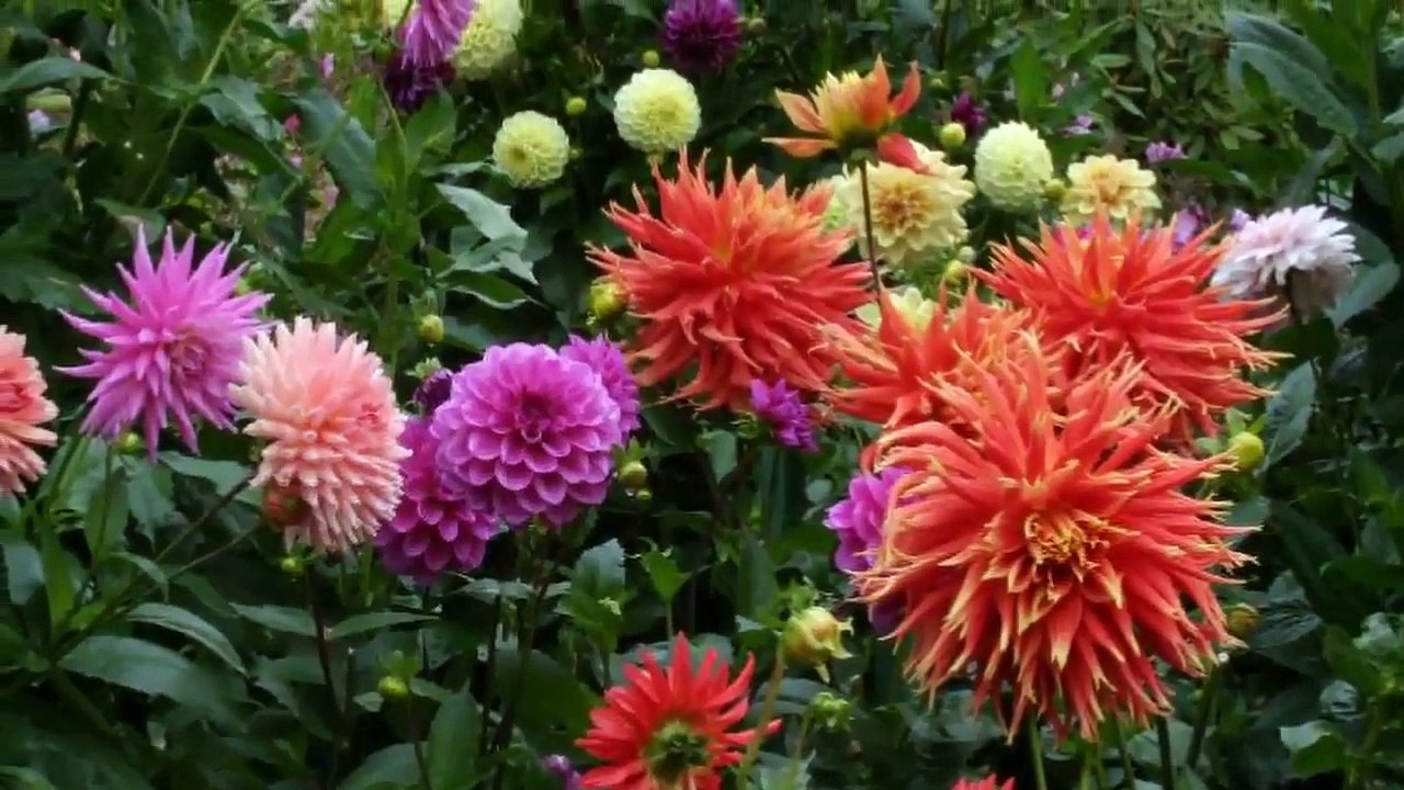 Jardins Fabuleux - Piano (PP)