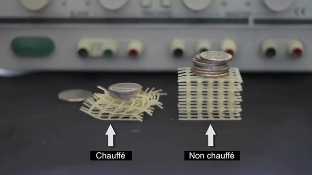 Les robots mous du MIT