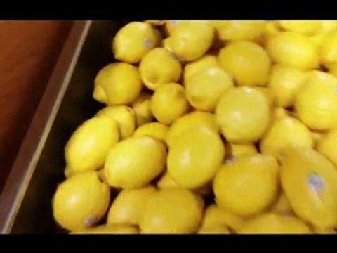 Quick Trip To Albertsons