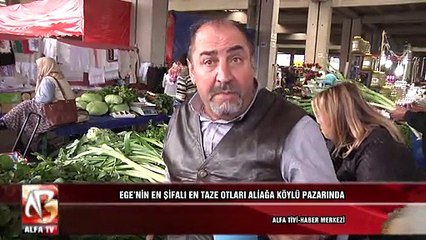 Ege’nin En Şifalı En Taze Otları Aliağa Köylü Pazarında