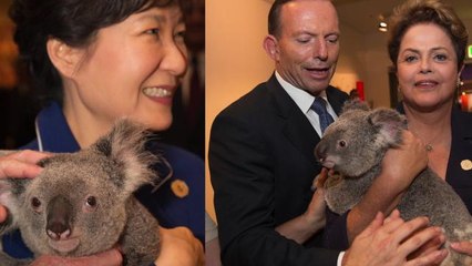 World Leaders Take Turns Holding Koalas at G20 Summit