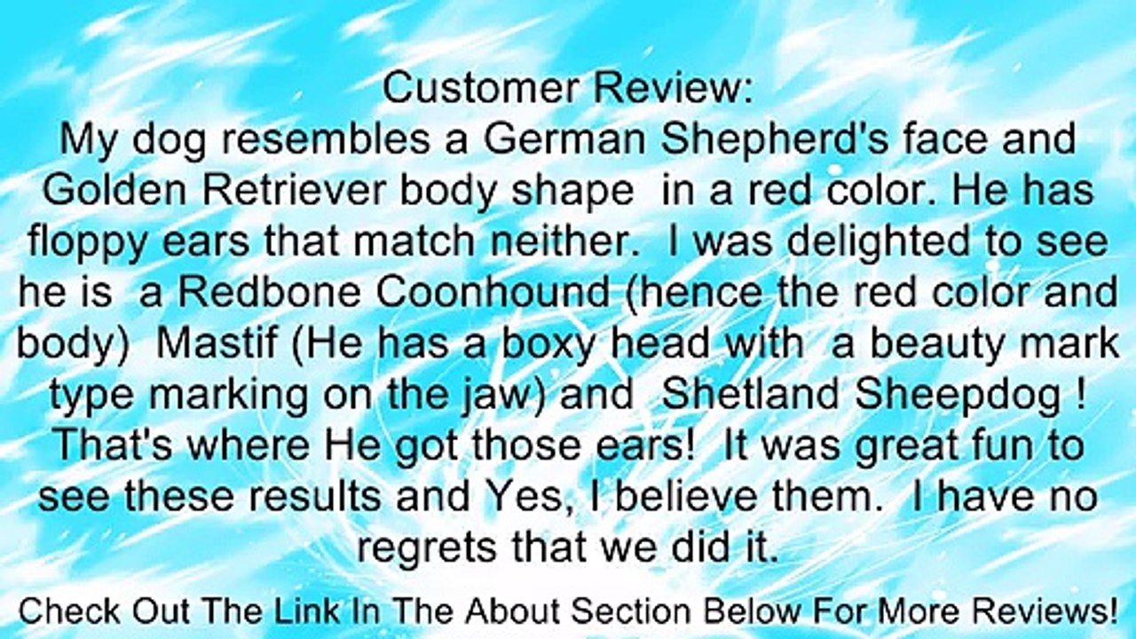 Wisdom Panel 2.0 Breed Identification DNA Test Kit