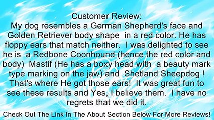 Wisdom Panel 2.0 Breed Identification DNA Test Kit