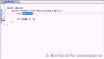 Java Programming Tutorial - 10 - If Statement