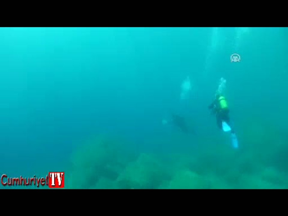 Dikkat! 5 milyar iğnesi var