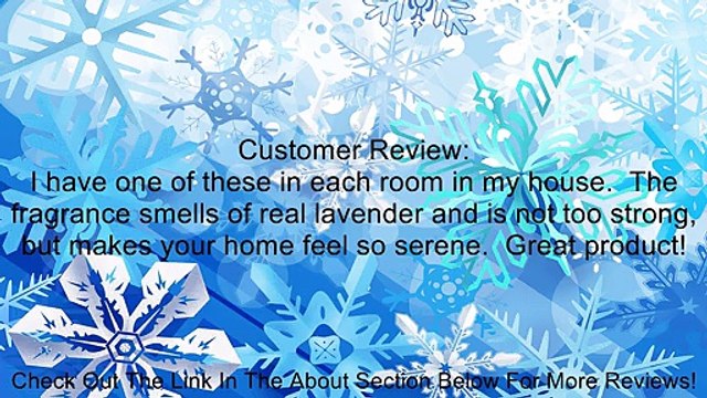 Reckitt Benckiser 6233884226 Lav/Cham Flip & Fresh Review