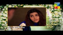 Daay Ijazat Jo Tu Episode 10 Hum 18th November 2014 Full Video