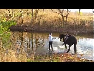 Ce cheval avait peur de l'eau