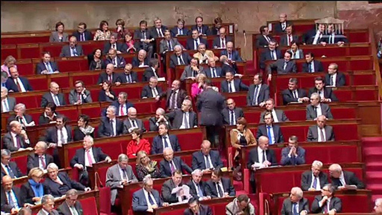 Question au gouvernement 18 novembre 2014 - Situation en Ukraine