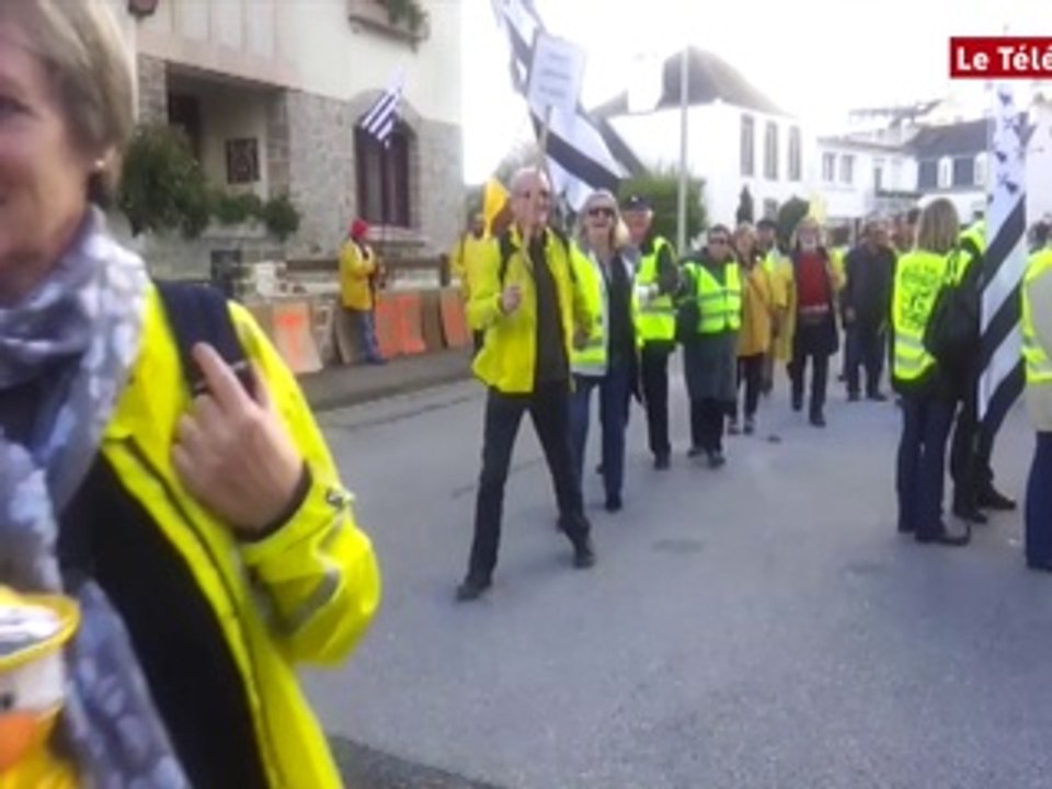 Tarifs insulaires. Une joyeuse farandole devant le conseil général