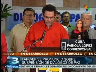 FARC: en el proceso de paz no deben tomarse determinaciones impulsivas