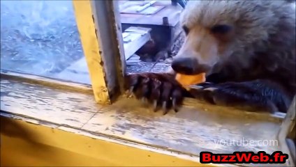 Pendant ce temps là en Russie... Compilation