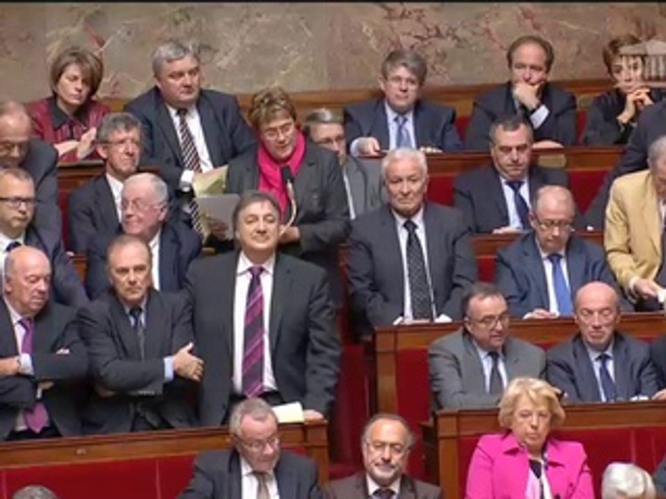 Marianne Dubois - Loi de programmation militaire