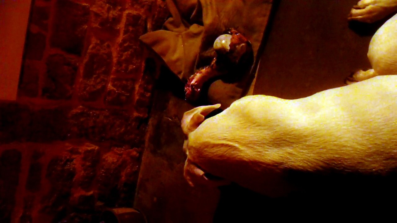SAM_0476