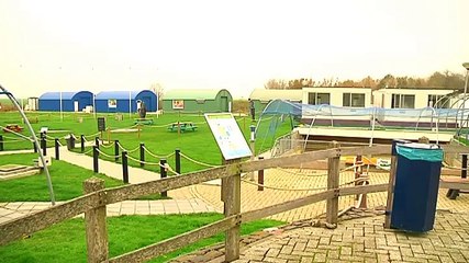 Zeehondengriep slaat toe in Nederland - RTV Noord