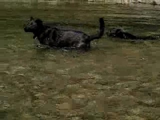 DURAZNO Y LAS PIEDRAS.....