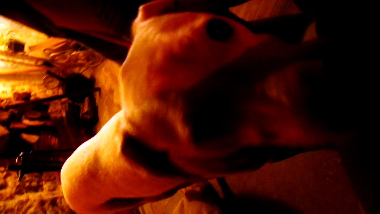SAM_0474