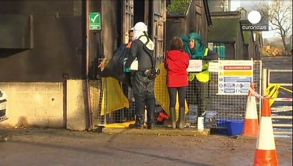 British bird flu confirmed as H5N8