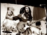 Bob Marley - Slave Driver Karaoke