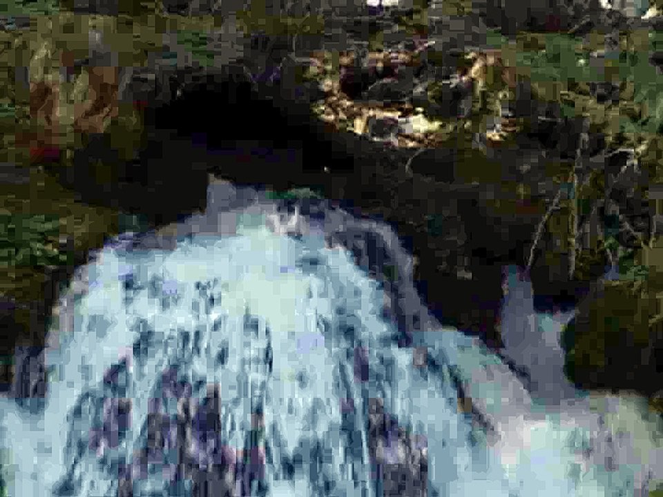 See Oregon-Clearwater Falls
