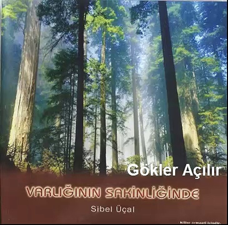 Gökler açılır