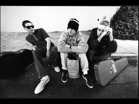 Beastie Boys - You Gotta Fight For Your Right Karaoke